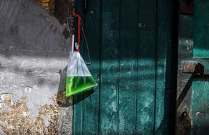 Green liquid in plastic bag hanging on teal door in sunlight.
