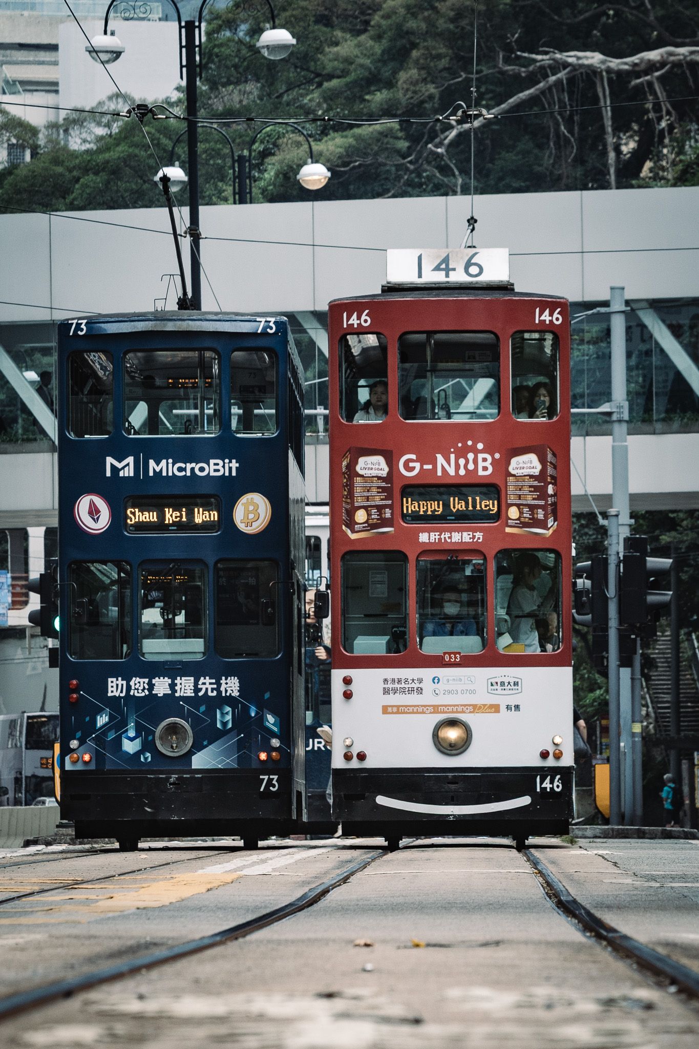 Two double-decker trams numbered 73 and 146 face each other on Hong Kong city tracks.