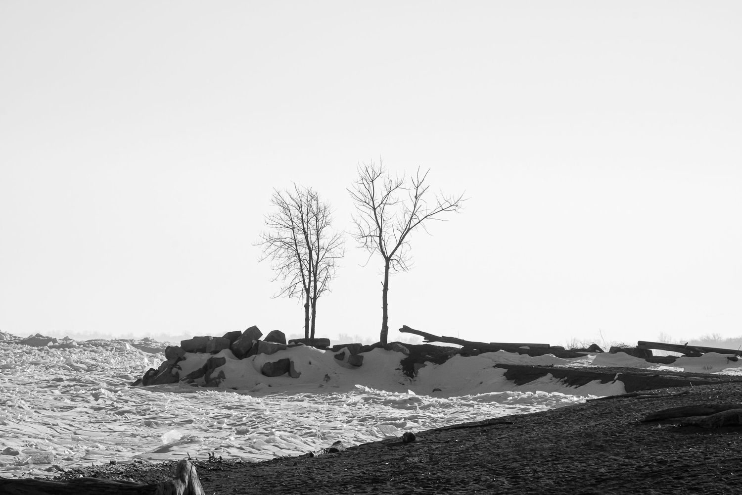 A panoramic black and white winter landscape with bare trees and snow covered rolling hills extends into the distance.