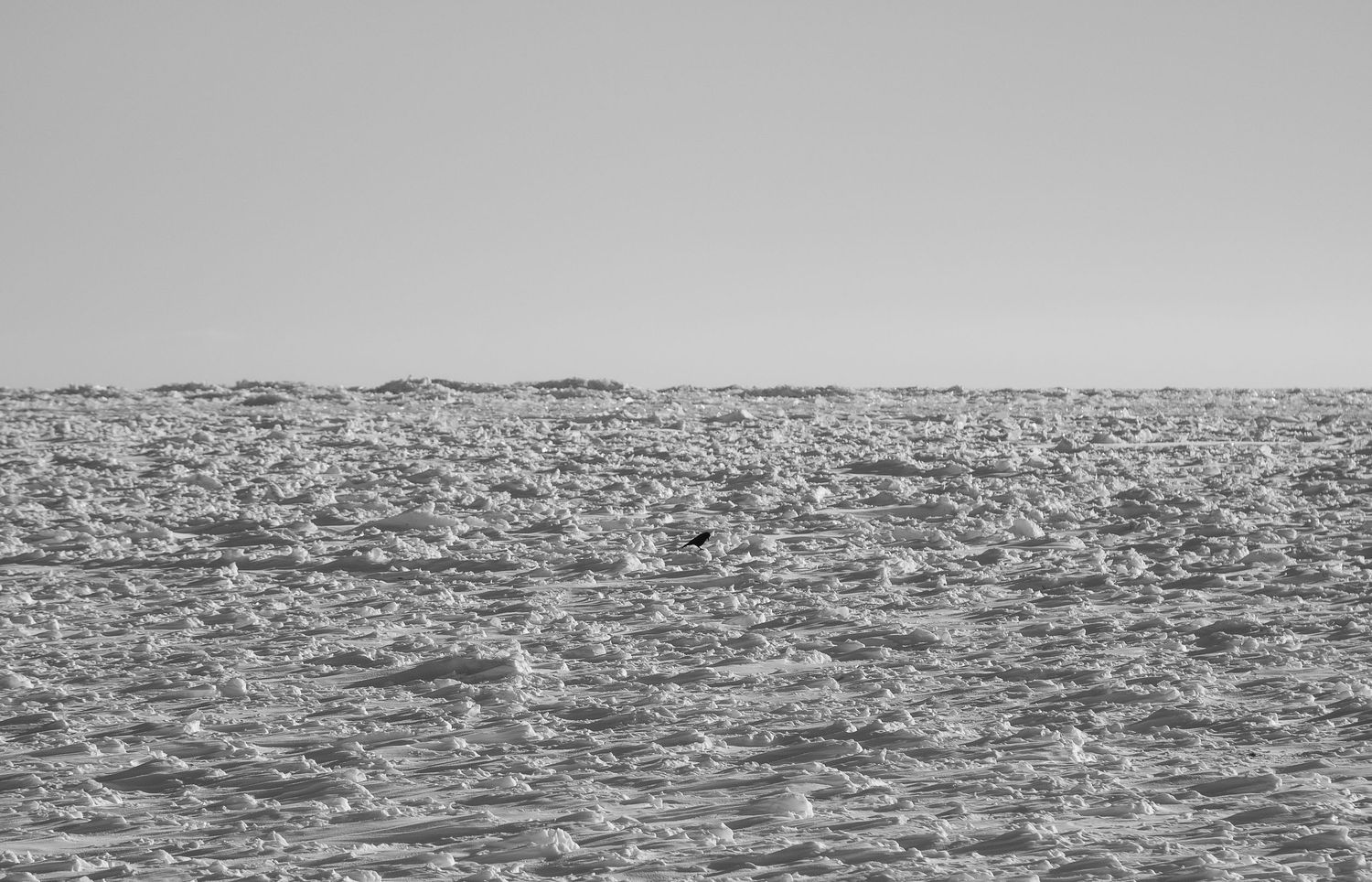 A black and white photograph of choppy ocean waves stretching to the horizon on an overcast day.