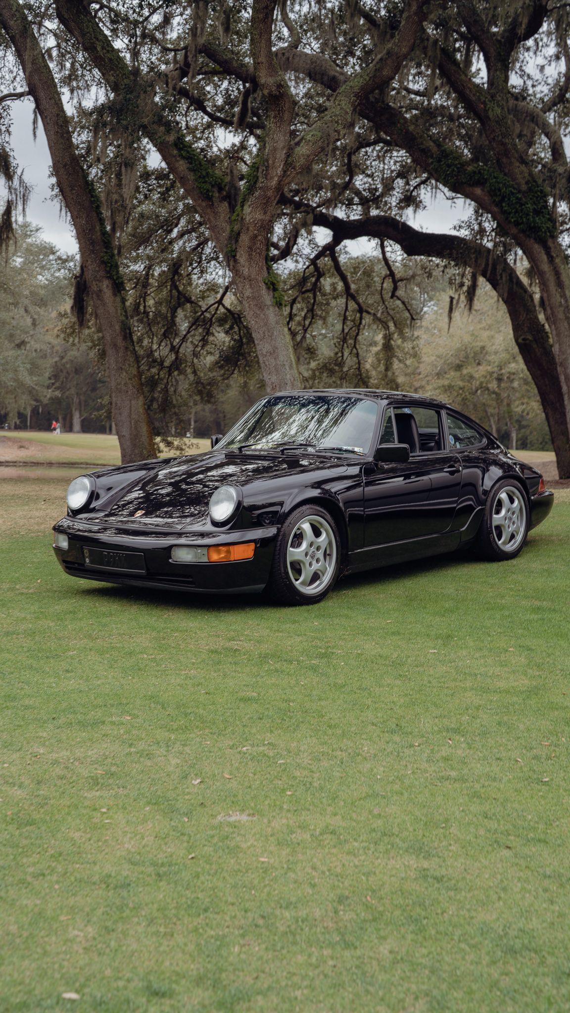 A black Porsche 911 classic car parked on grass under large oak trees with hanging Spanish moss.
