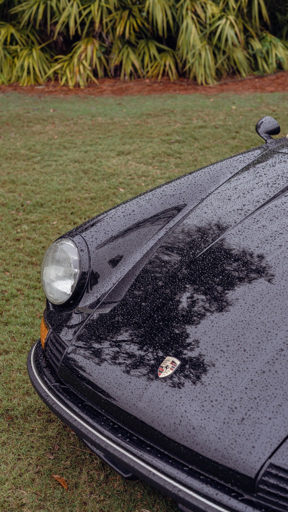 Closeup sequence showing water droplets on a black car hood with a palm tree reflection.