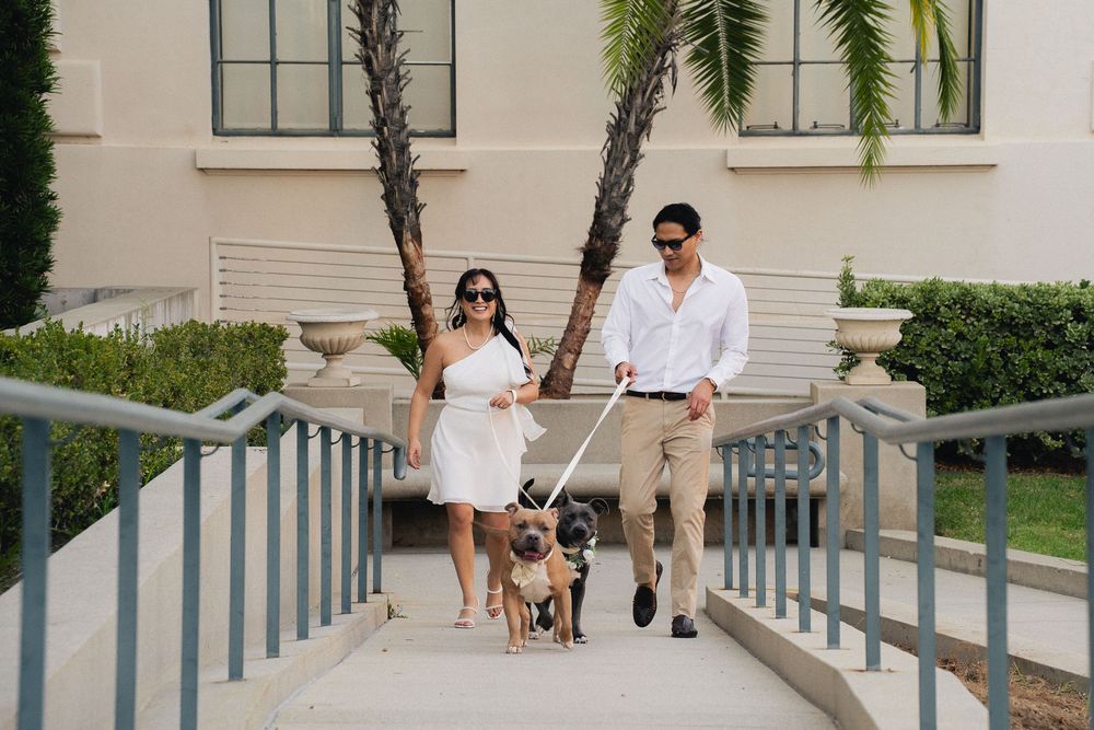 Couple playing with their dogs during engagement photos at Pasadena City Hall.