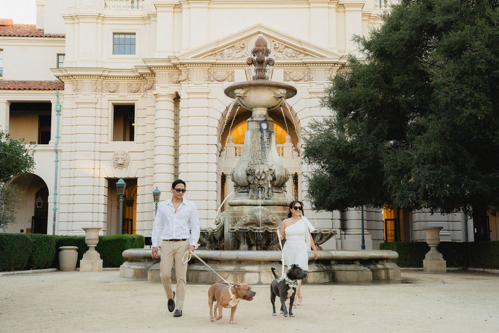 Lifestyle engagement photo featuring couple and their dogs enjoying a walk.