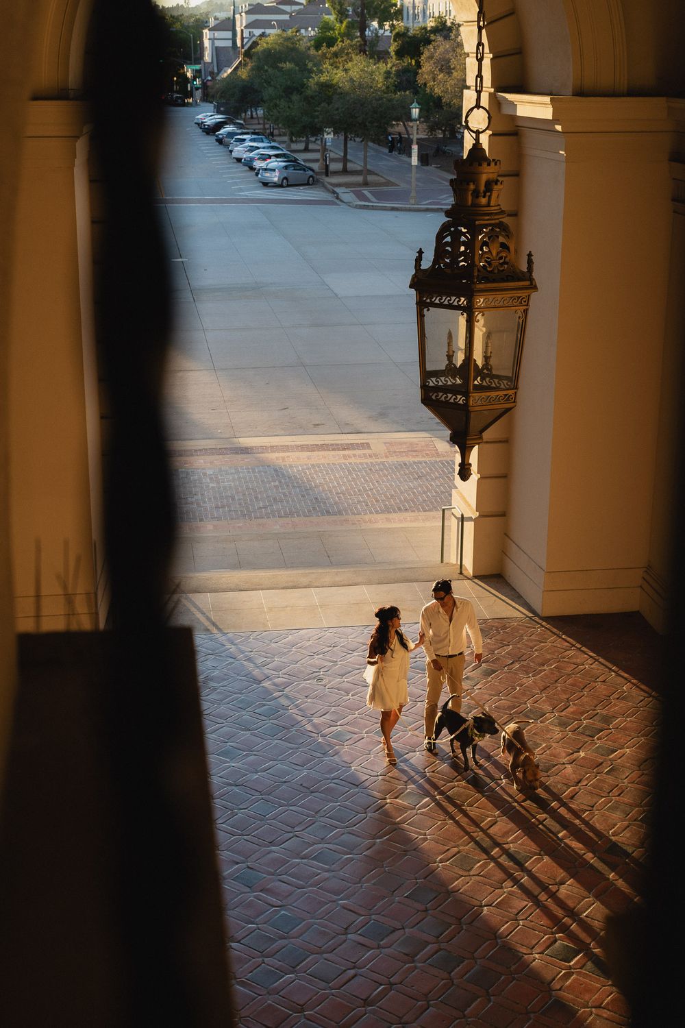 Laughing couple holding leashes while dogs run around in Pasadena.