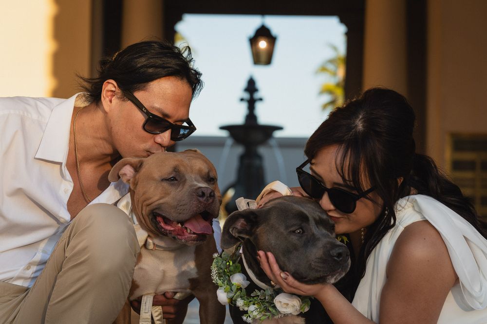 Playful engagement photo with couple and dogs in front of Pasadena City Hall fountain.