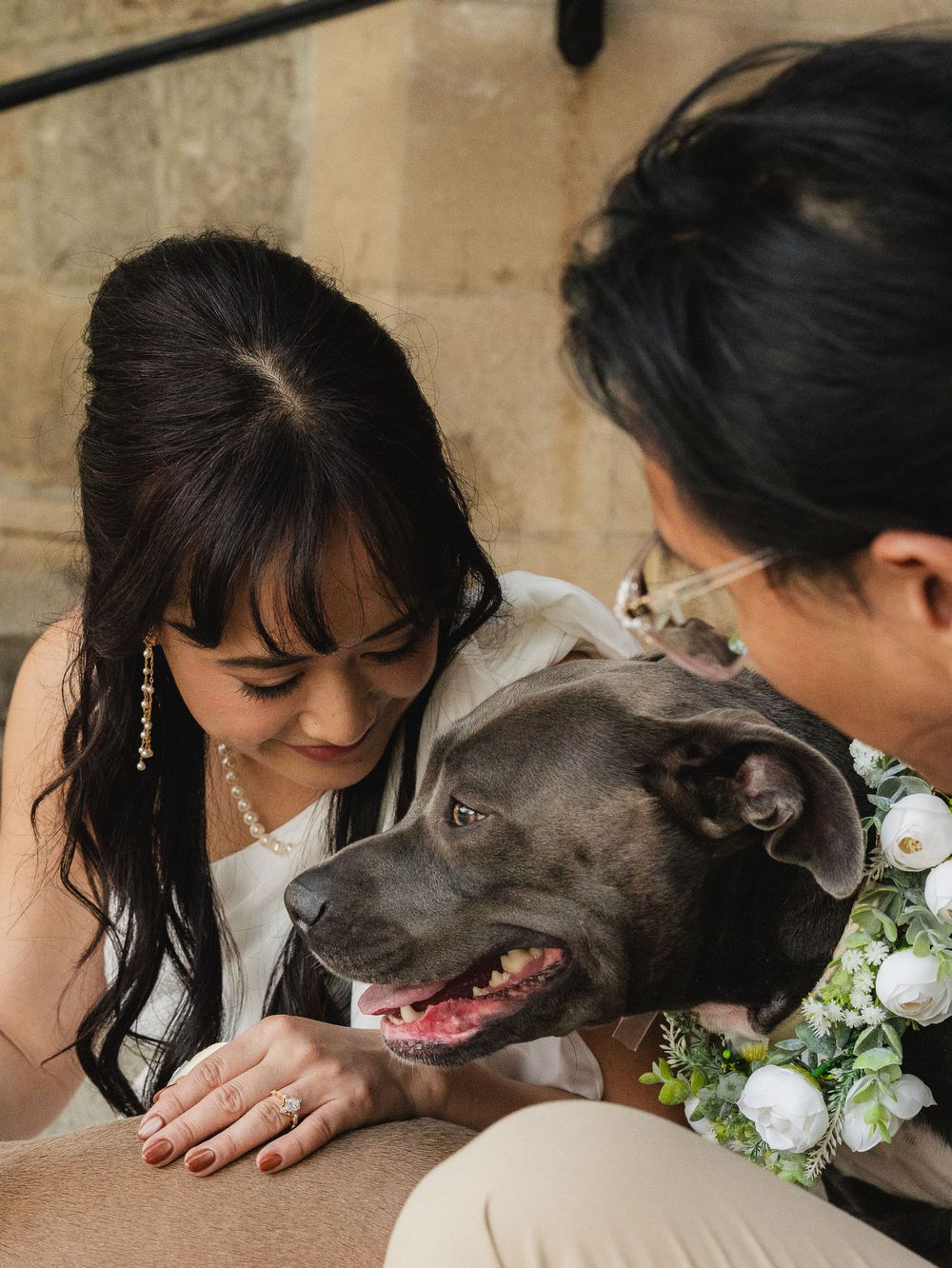 Couple sitting on steps with dogs cuddled beside them during Pasadena shoot.