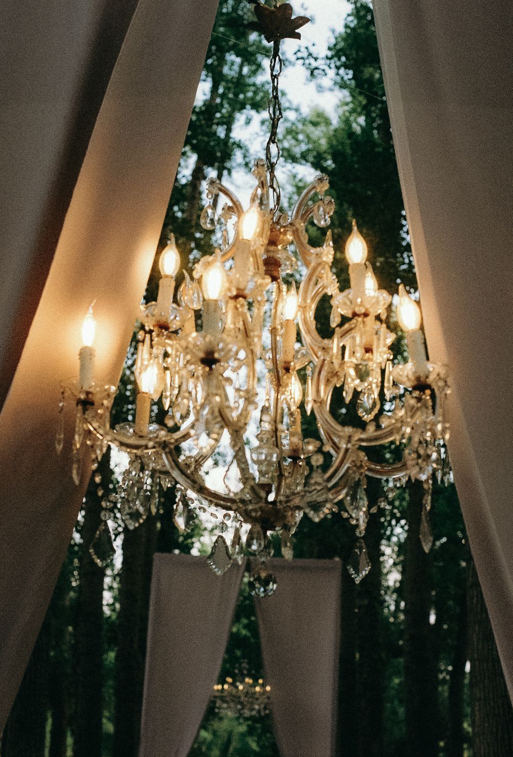 Row of elegant crystal chandeliers hanging against a backdrop of trees and white drapes.