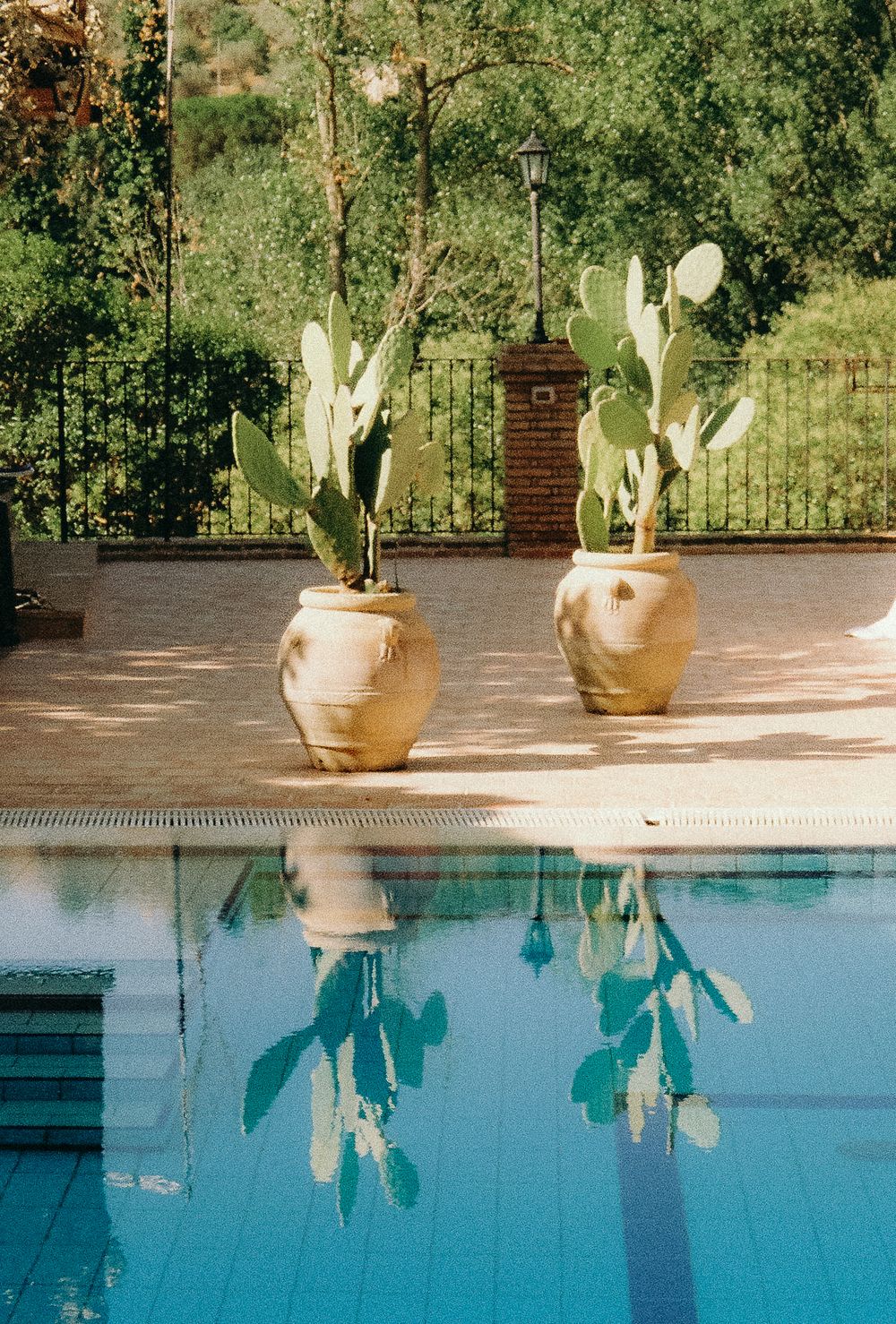 Swimming pool with potted plants casting reflective shadows in clear blue water.