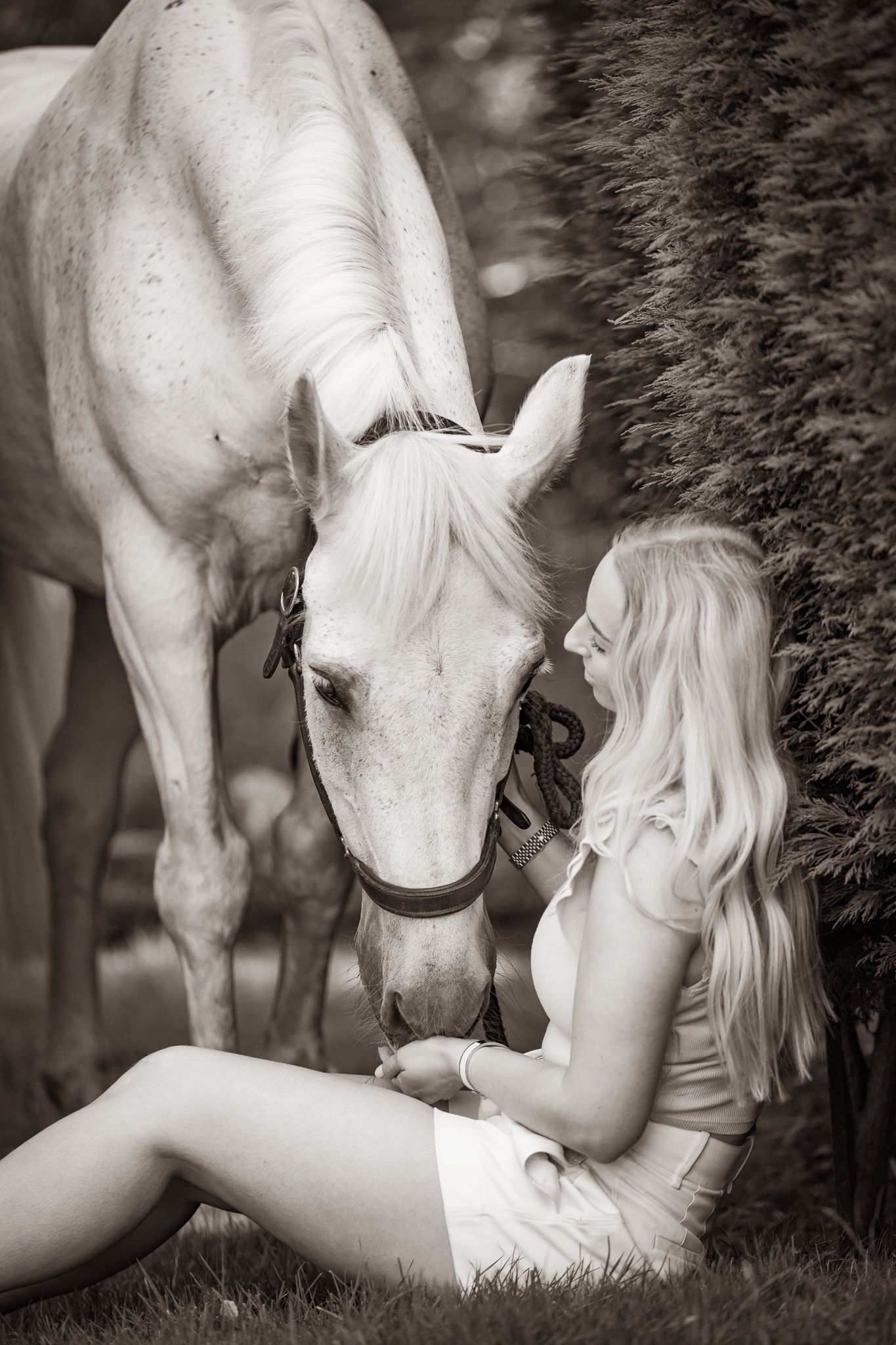 A series of black and white photos showing a white horse gently interacting with someone in a pastoral setting.