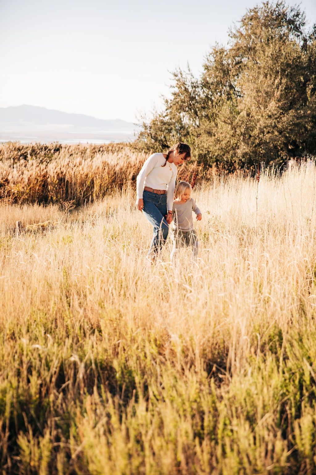 Couple embracing in golden sunlit field of tall grass during sunset creating romantic silhouette.