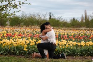 Couple embracing in a vibrant tulip field with yellow and red flowers blooming during a romantic outdoor proposal.