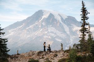 A series of scenic mountain views showing snow-capped Mount Rainier with evergreen trees and rocky terrain in the foreground.