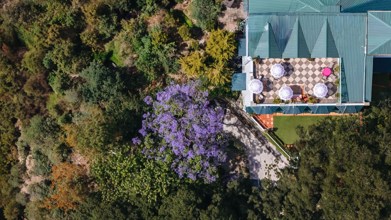 Drone photography of Colorful haldi ceremony with candid laughter at off-beat wedding in the hills at Daleside Manor, Kasauli.