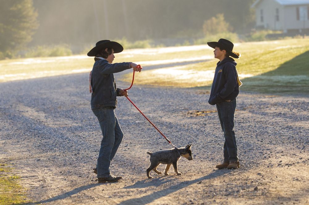 Two people in cowboy hats chat on a gravel path at sunset while walking a small black dog on a leash.