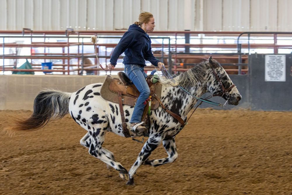 Rider on spotted horse races through barrel pattern in sandy indoor arena during competition.