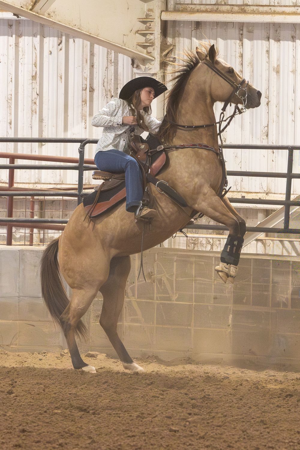 A sequence of action shots showing a horse and rider performing dramatic bucking movements in a dusty arena.