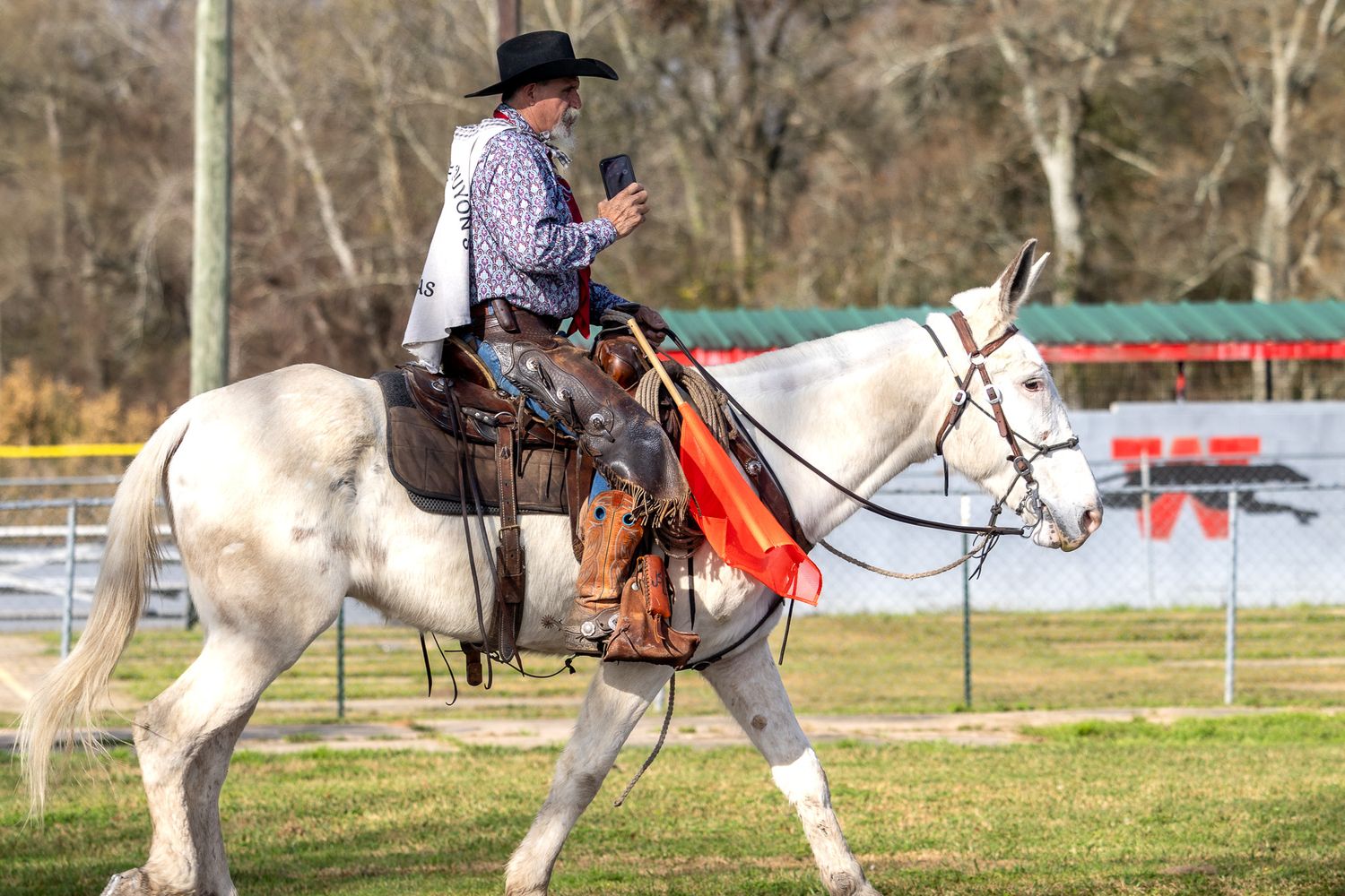 Sequence showing riders on white horses practicing in an outdoor arena.