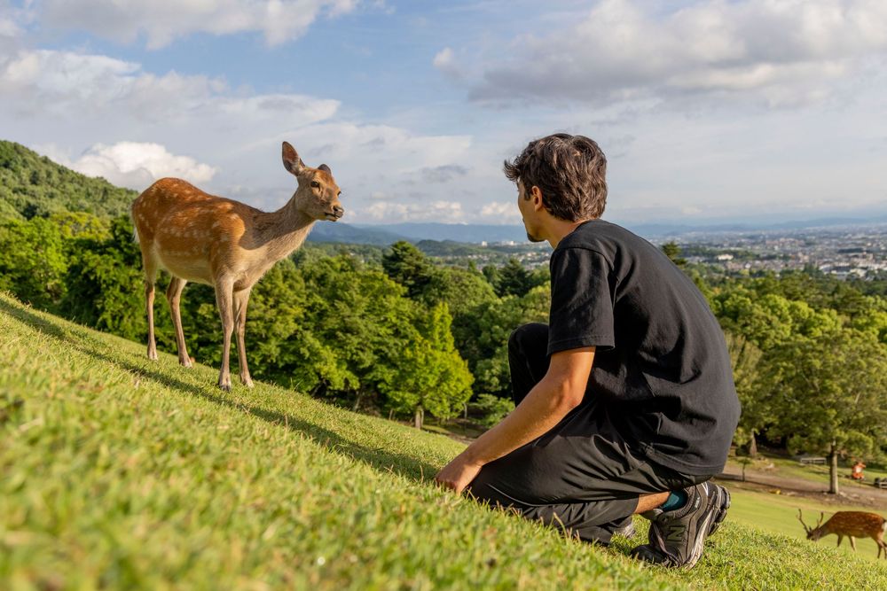 Deer interacting with human. Luke Ye photography, Luke Ye,