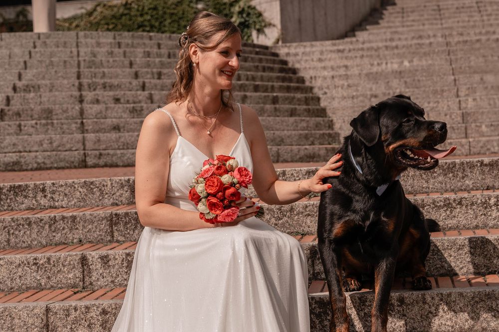 A tender wedding moment on stone steps with a black dog sitting loyally nearby.