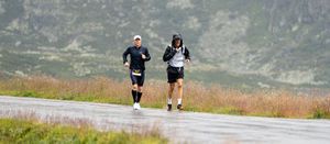 Scenic mountain trail with runners training on a winding path through rugged alpine terrain and meadows.