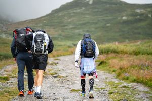 Hikers carrying large backpacks traverse rocky mountain path through green highlands.