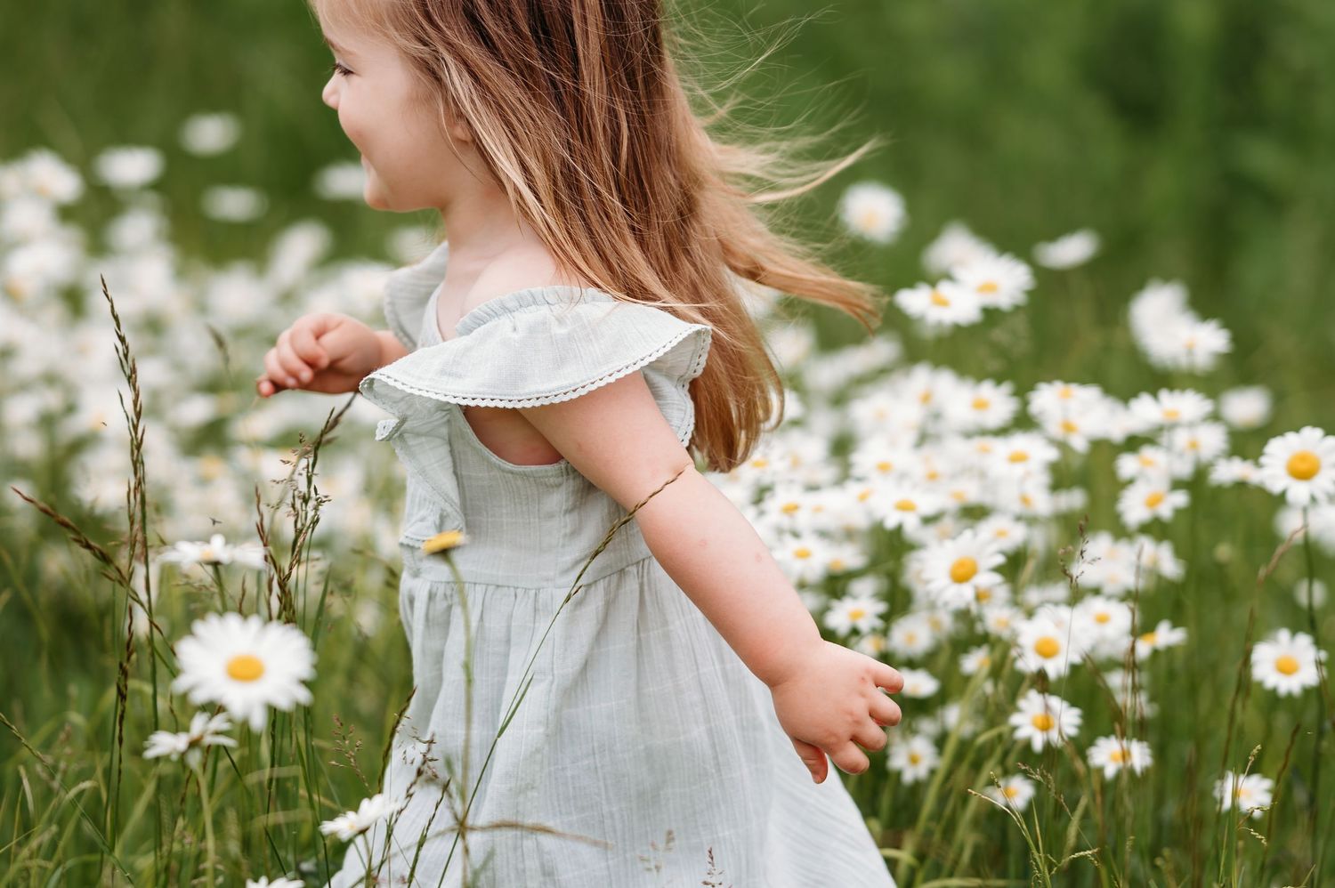 Child in a light dress walks through a blooming meadow of white daisies on a sunny summer day.
