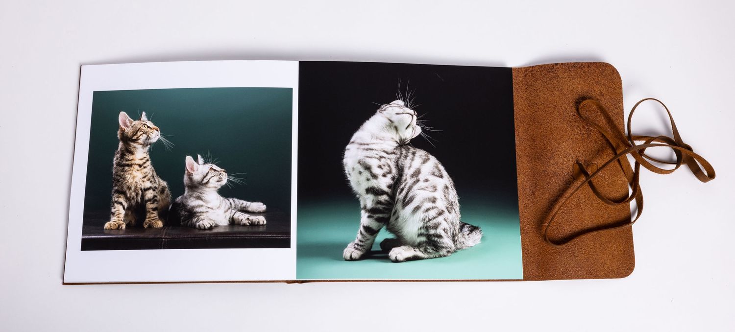 Open leather-bound photo book displaying two professional cat portraits of silver tabby kittens on a green background.