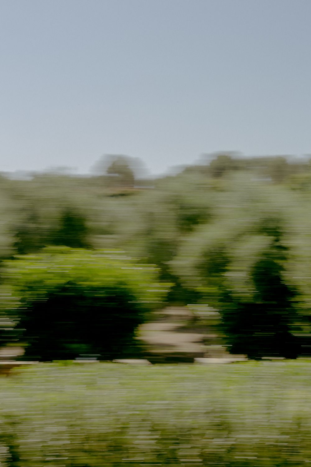 Blurred motion landscape of lush green trees and rolling hills under a clear sky.