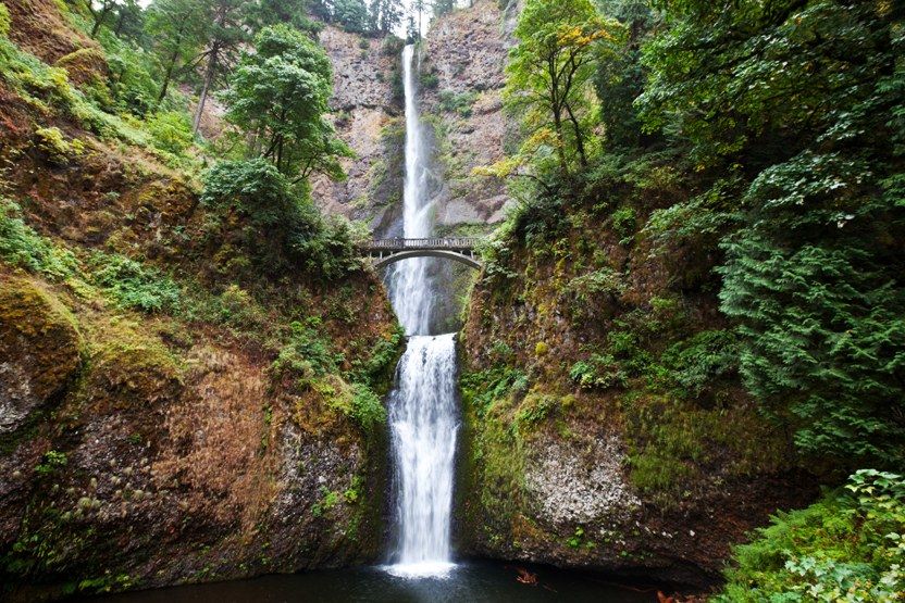 Multnomah Falls cascading down mossy cliffs with a stone bridge spanning the middle, surrounded by lush green forest in Oregon.