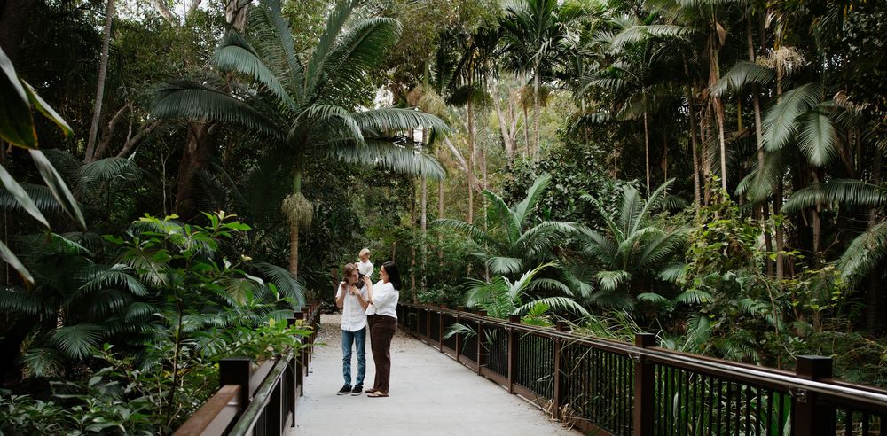 Couple embracing on a wooden bridge path surrounded by lush tropical greenery and towering palm trees in a botanical garden.