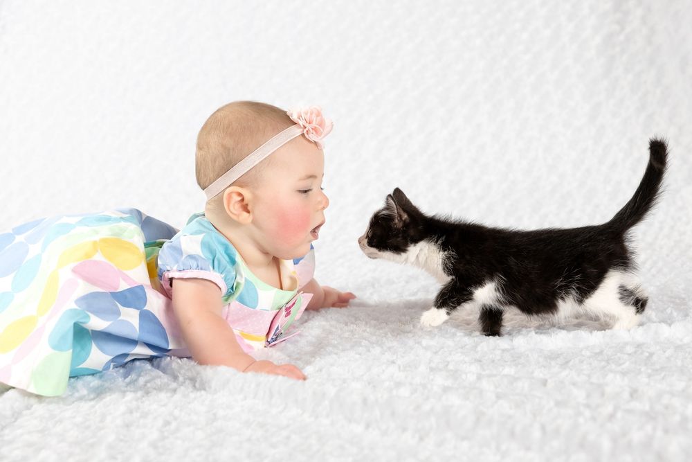 A baby girl in a colorful dress interacts with a black and white kitten on a white fluffy carpet.