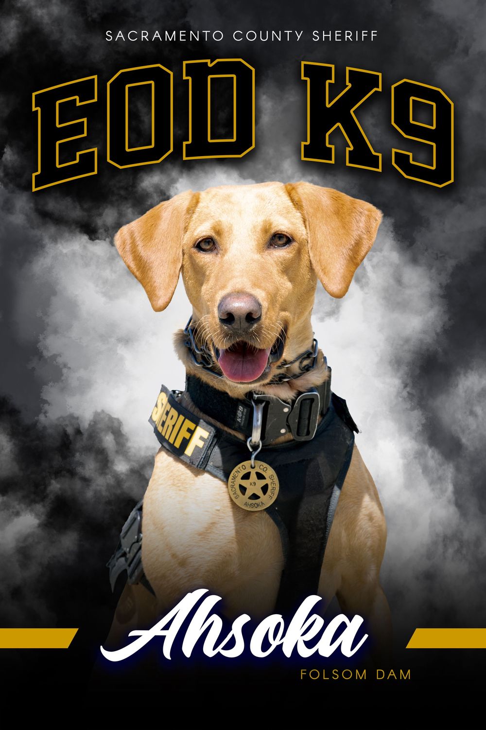 Sacramento County Sheriff EOD K9 Ahsoka, a yellow Labrador wearing a sheriff badge vest, Folsom Dam unit.