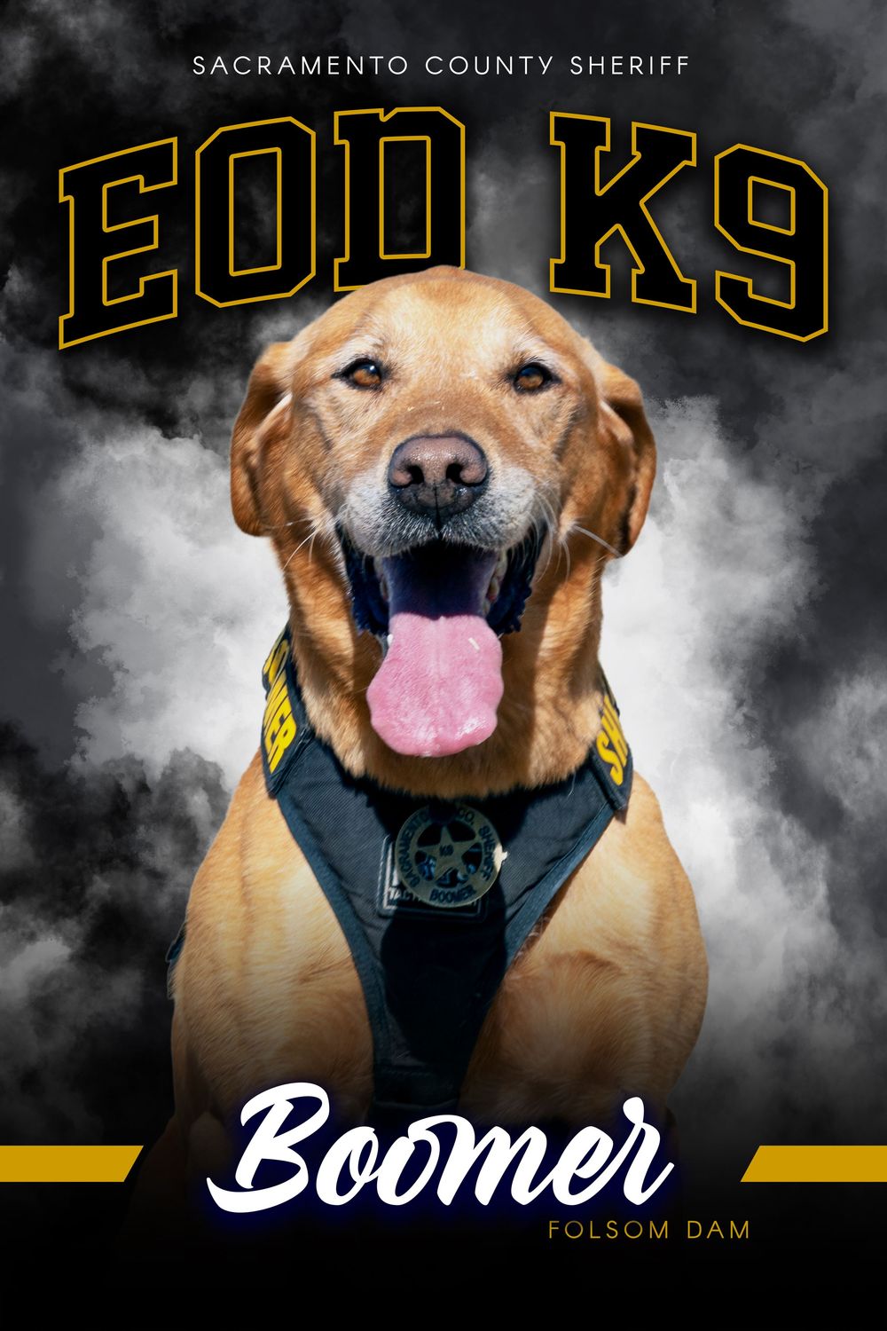 Sacramento County Sheriff EOD K9 Boomer, a golden Labrador in tactical harness, smiling at Folsom Dam.