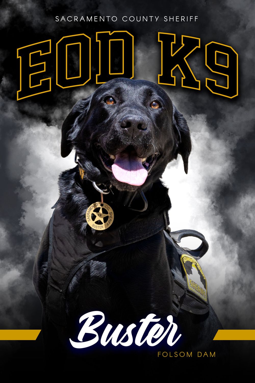 Sacramento County Sheriff EOD K9 Buster, a black Labrador wearing a Sheriff badge and vest, poses for an official portrait at Folsom Dam.