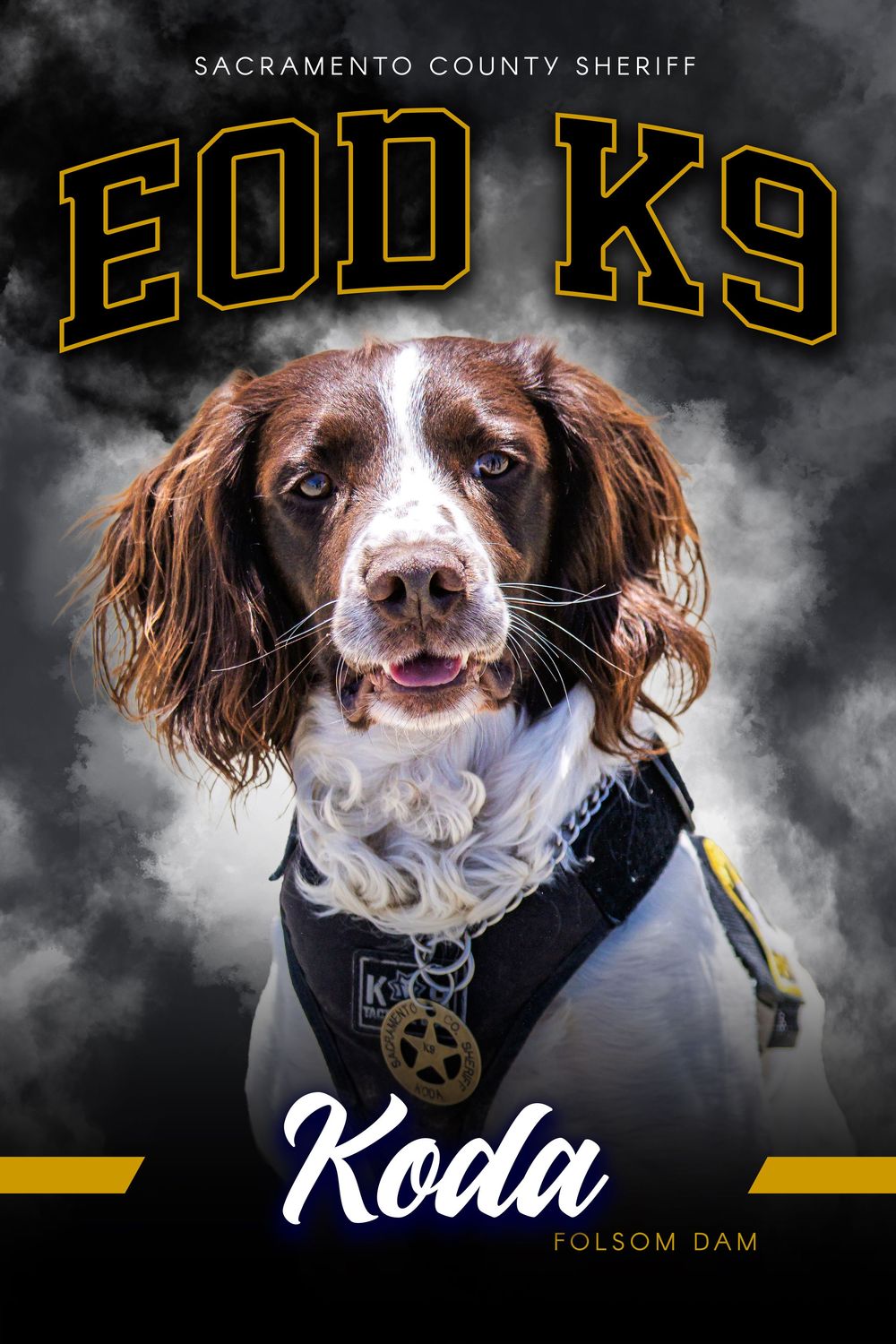 Sacramento County Sheriff EOD K9 unit dog named Koda, a Springer Spaniel wearing a badge, stationed at Folsom Dam.