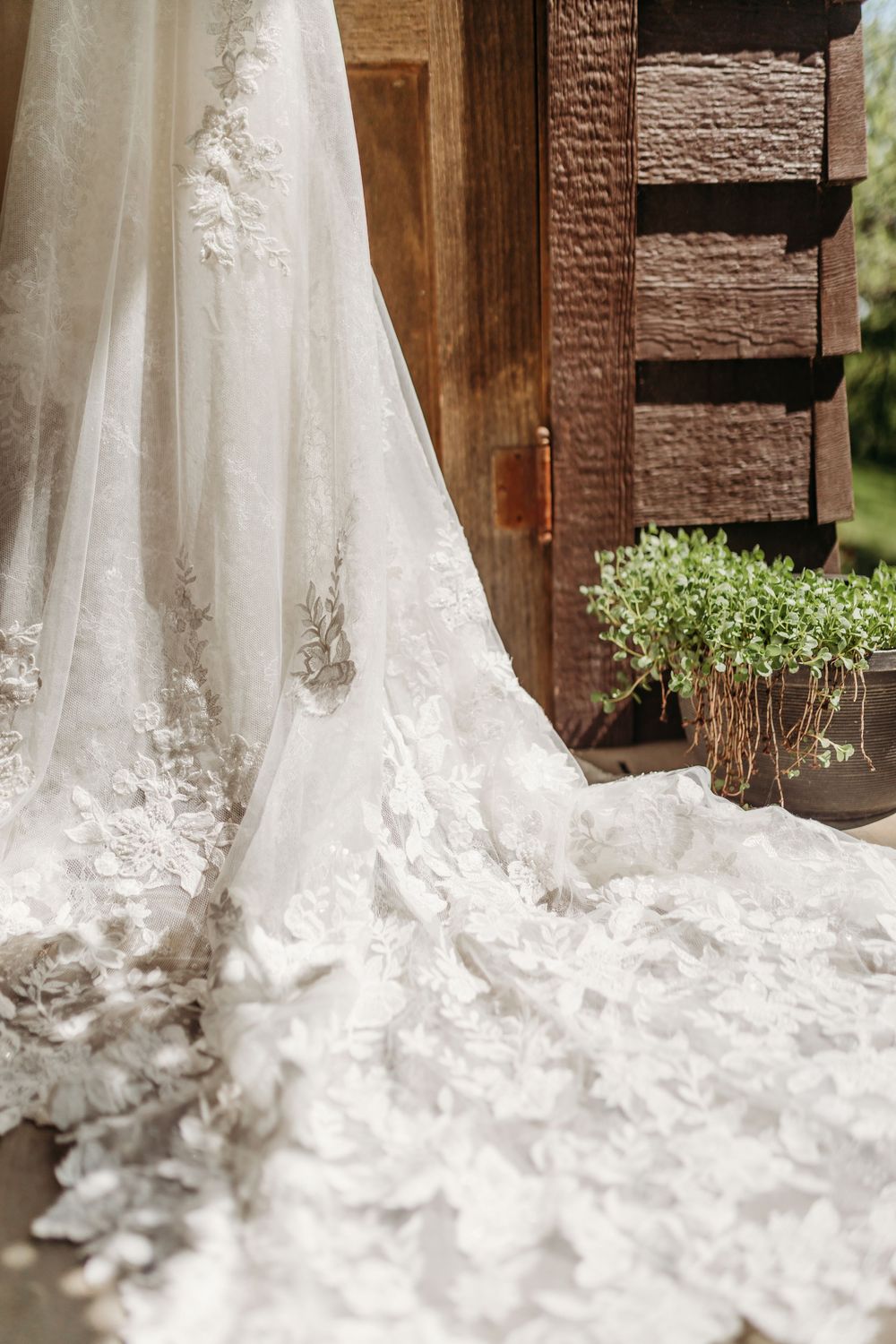 Elegant lace wedding dress train with floral appliques displayed near a rustic wooden door with green plants.