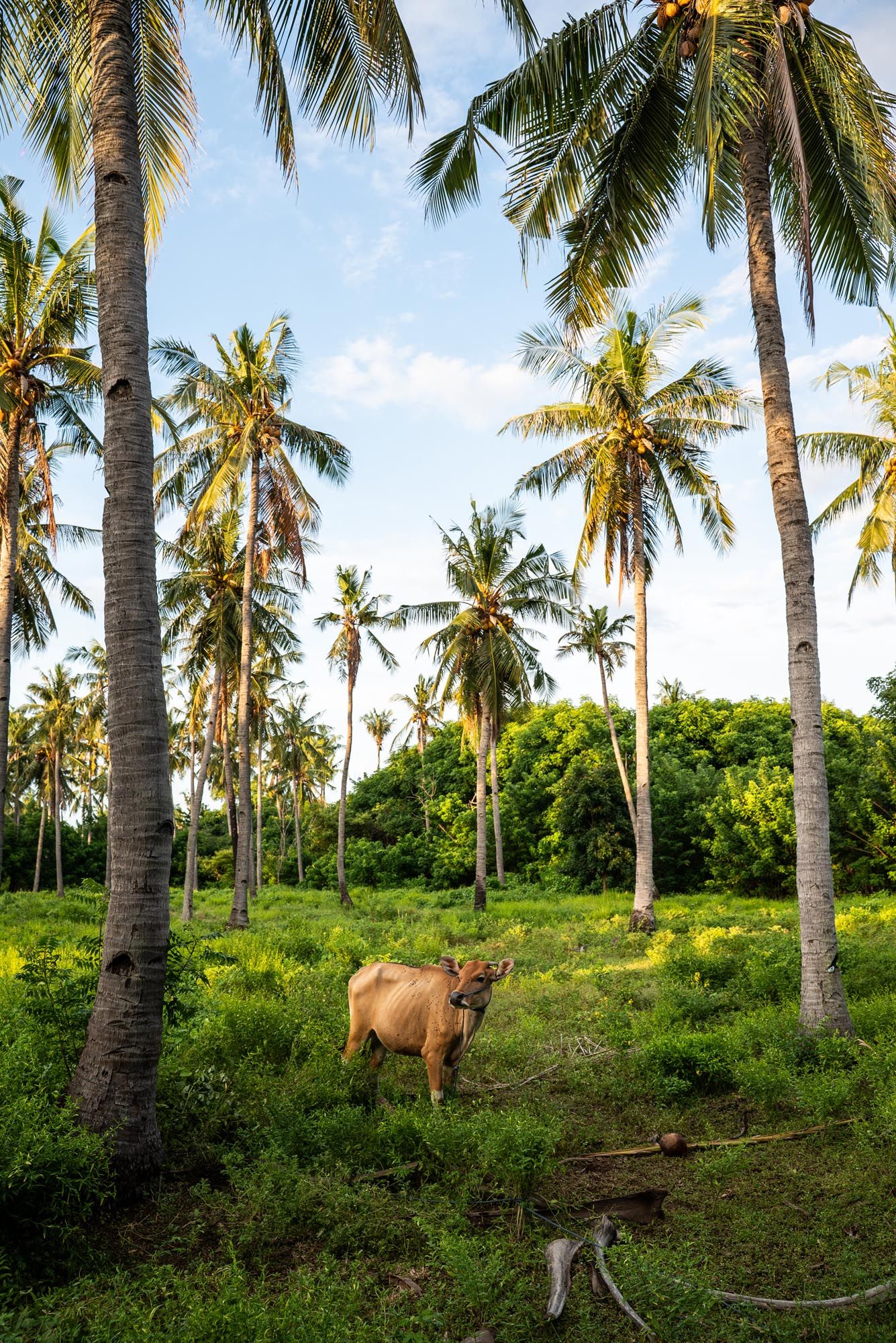 Cycling or walking route around Gili Meno