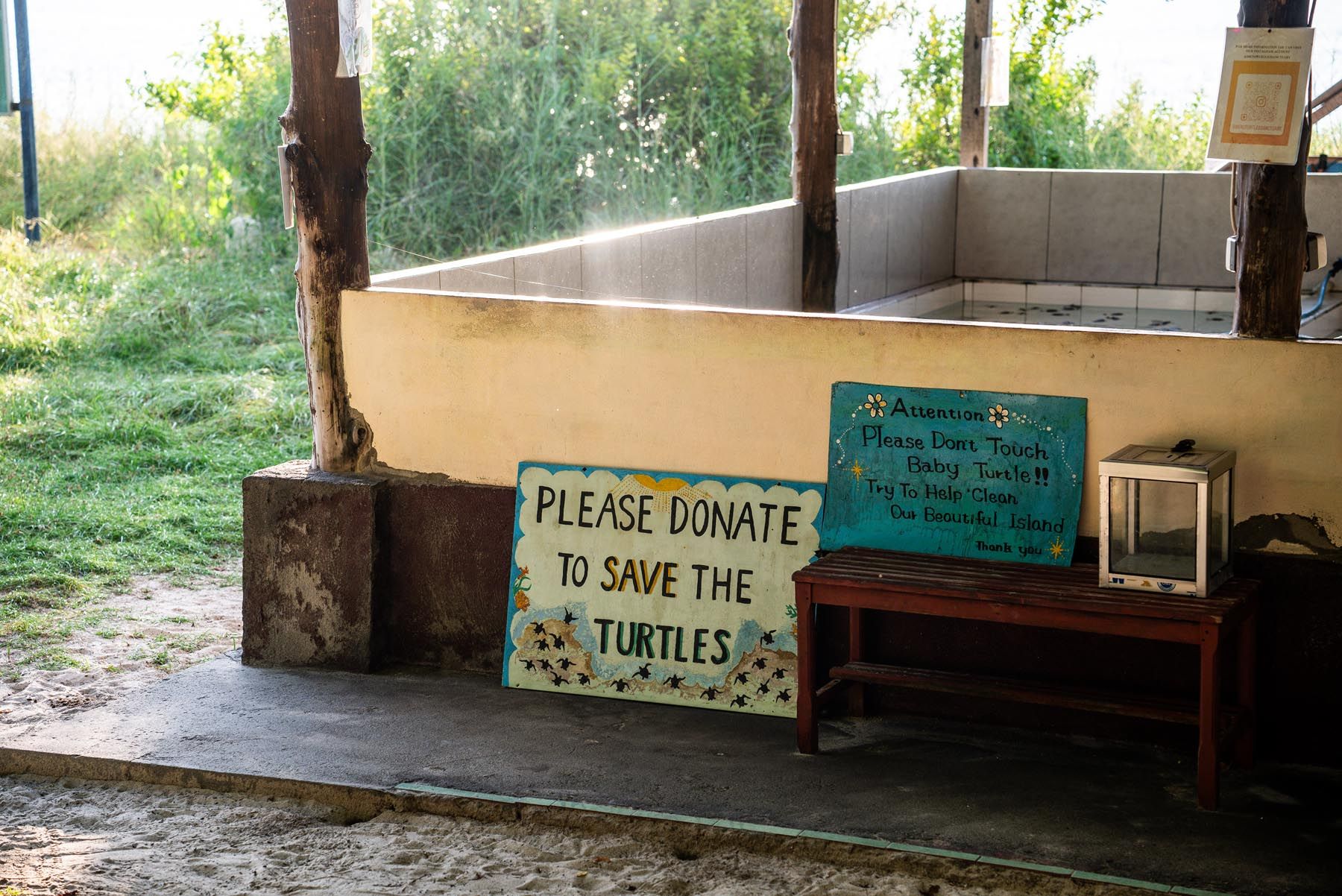 Turtle sanctuary detail on Gili Meno