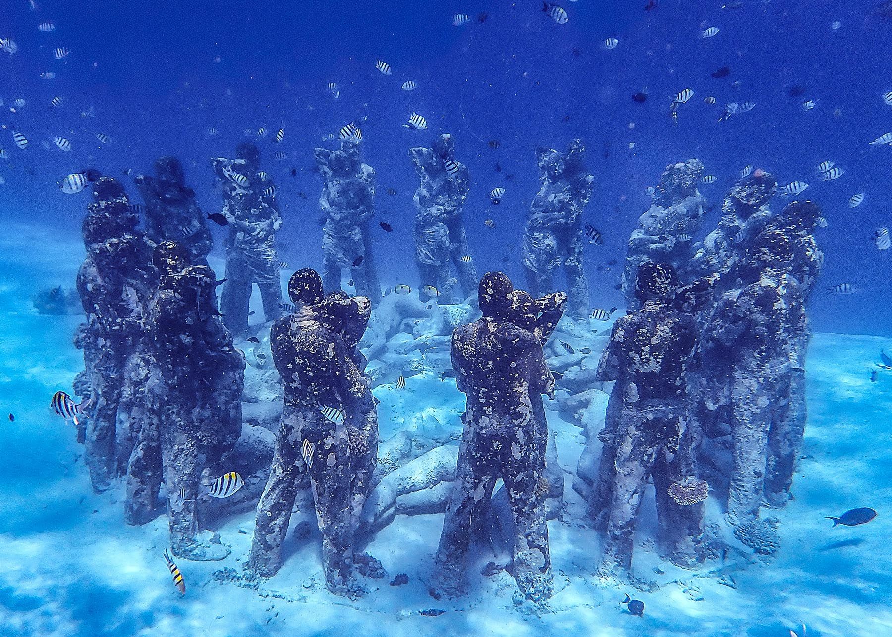 Snorkelling near the Nest underwater statues
