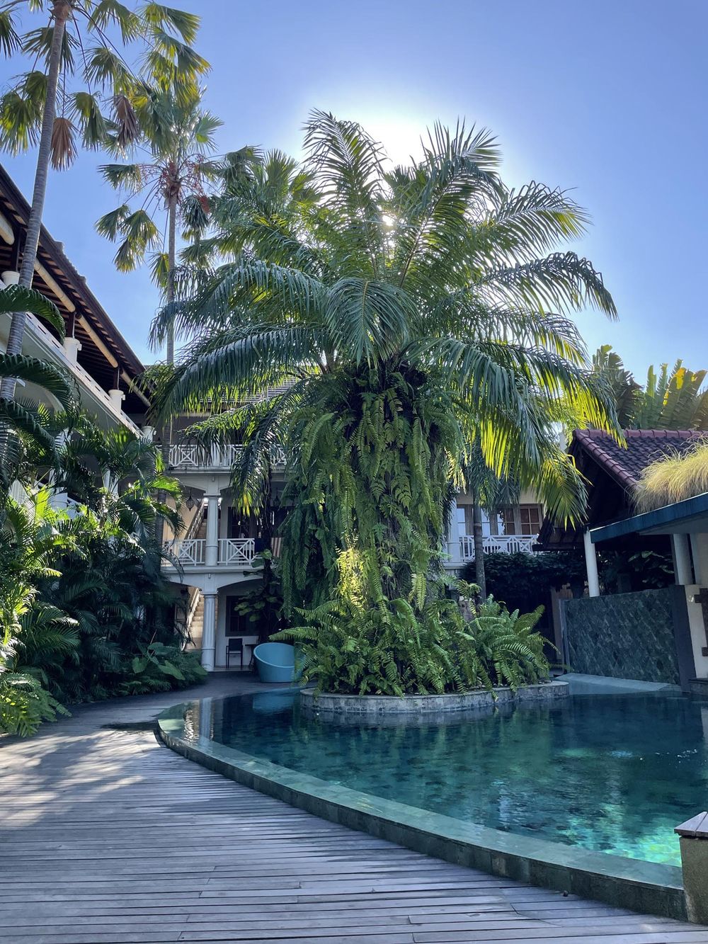 Tropical resort pool surrounded by lush palm trees and wooden deck in a serene garden setting.