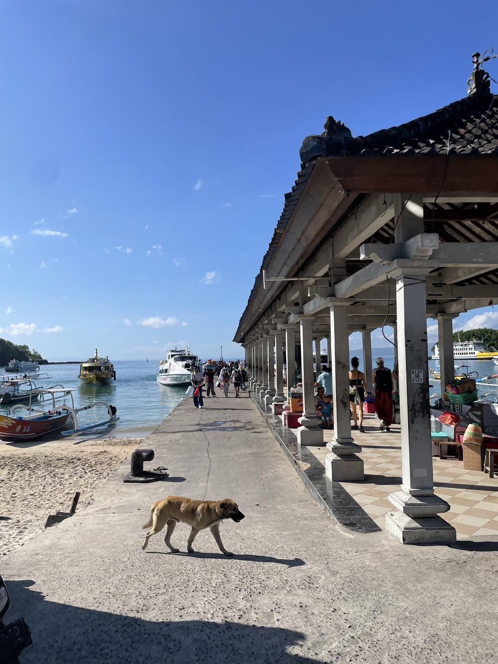 A stray dog walks along a scenic Balinese harbor pier with traditional architecture, boats, and tourists under a clear blue sky.