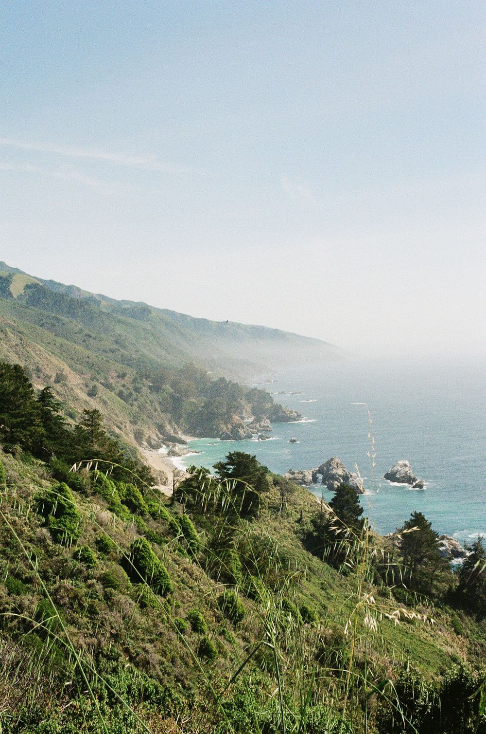 California film photographer shares relocation to NC