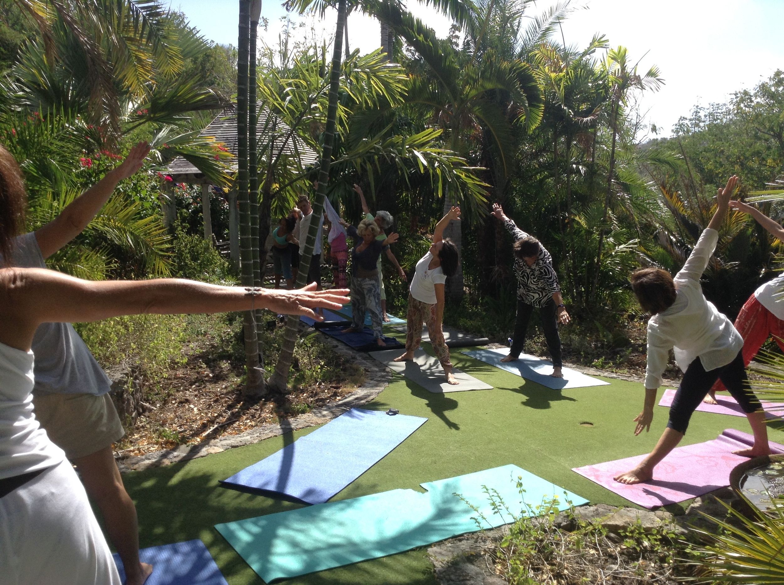 Group yoga class practicing side stretch poses on colorful mats outdoors surrounded by tropical palm trees in sunlight.