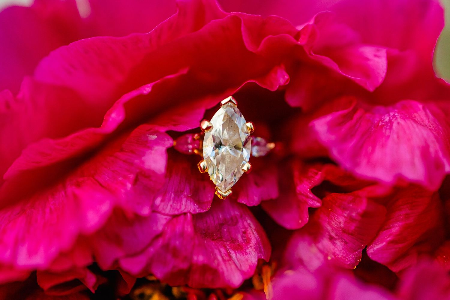 Marquise diamond engagement ring in gold setting resting on vibrant pink peony flower petals. morgantown wv engagement botanical gardens