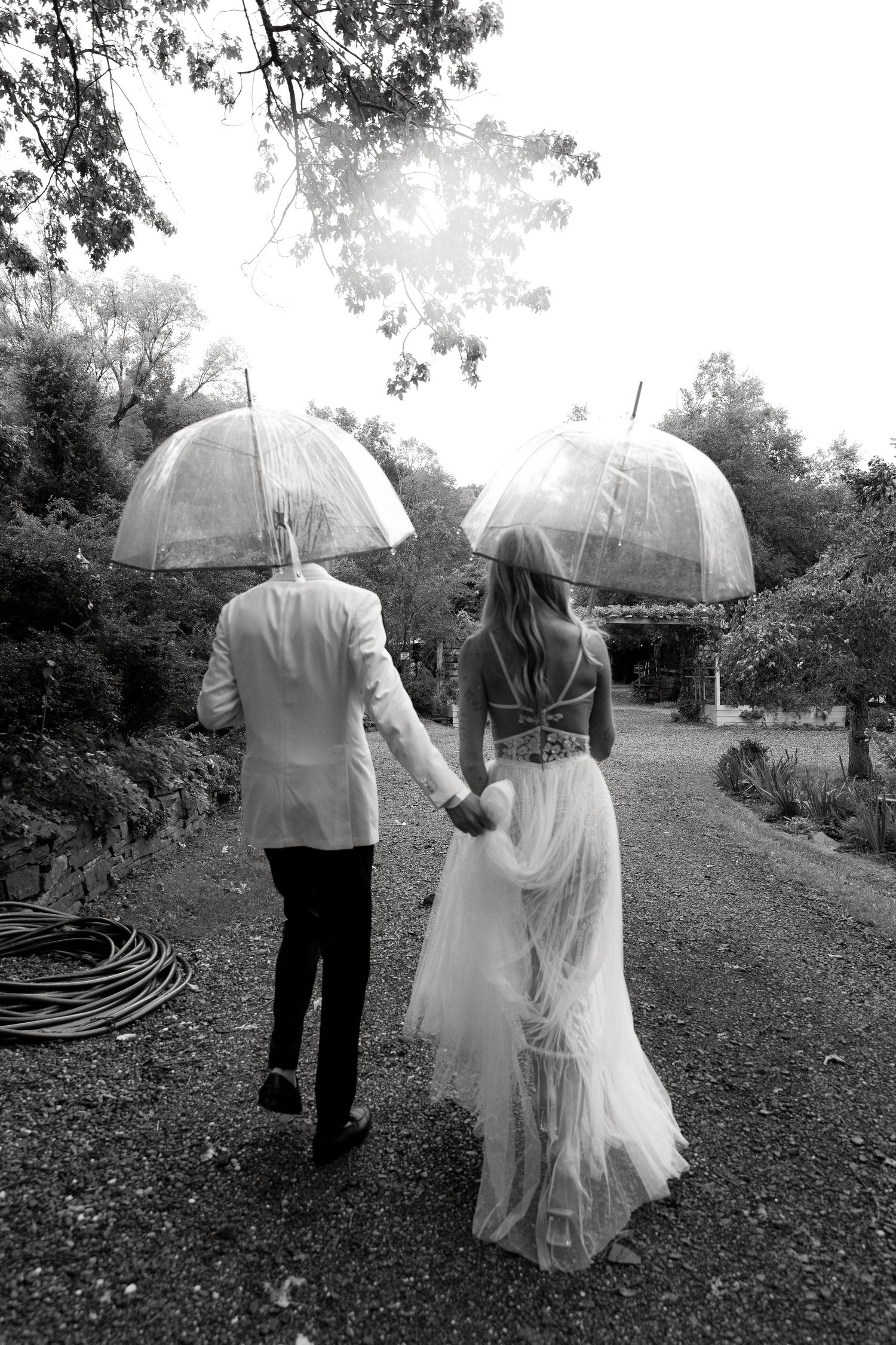 Newlyweds walk garden path holding clear umbrellas in black and white photography.