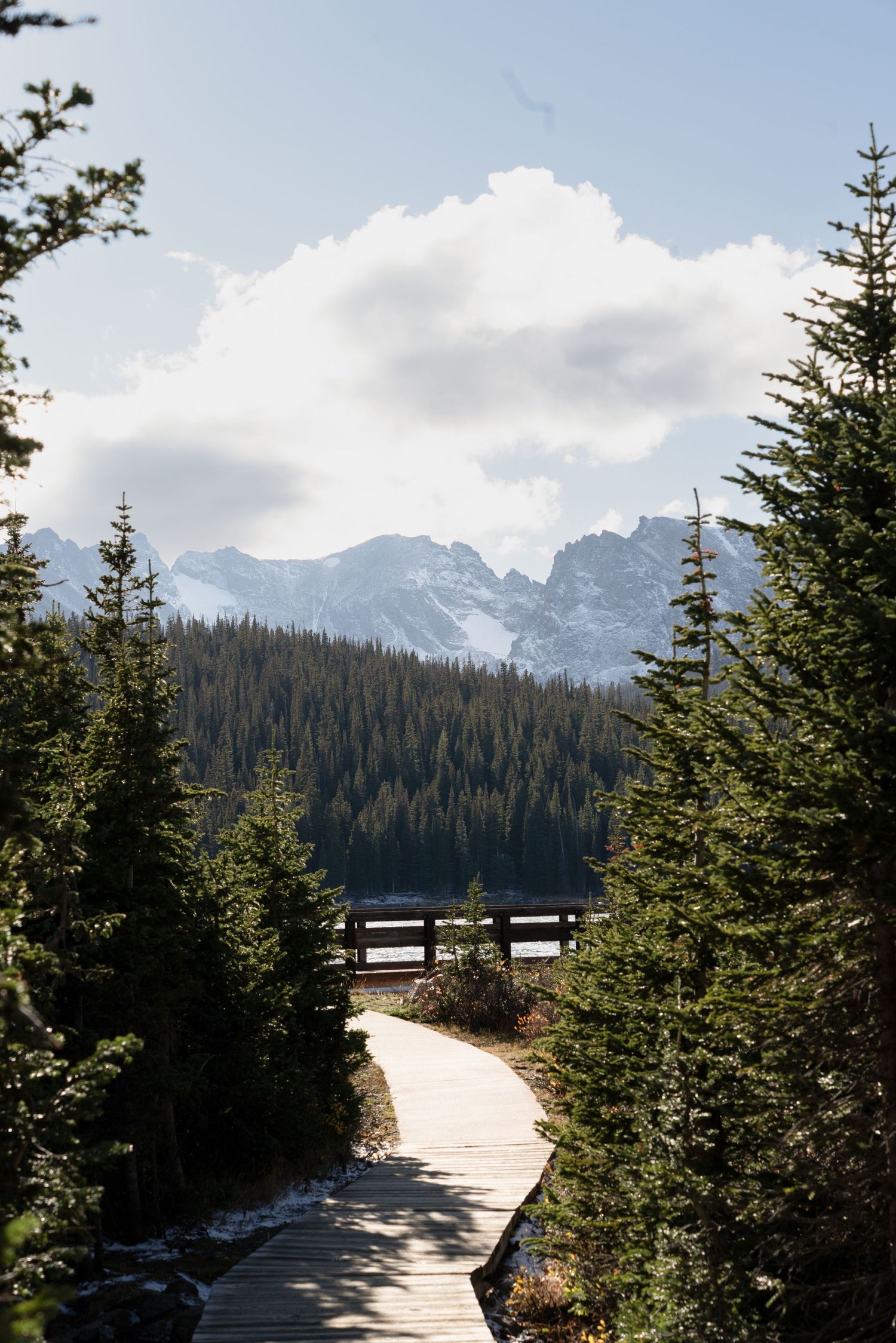 Snow-capped mountain peaks visible through evergreen forest.