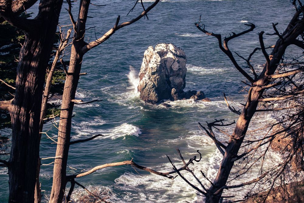 Rocky sea stack surrounded by crashing waves viewed through bare tree branches on a rugged coastline.