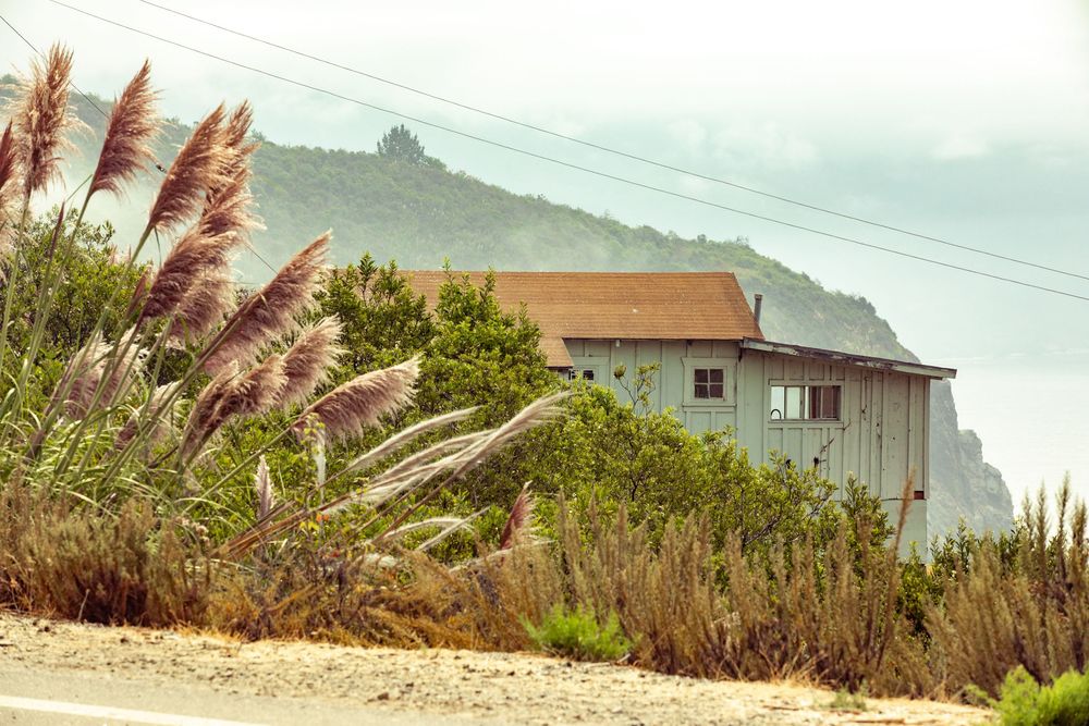 A coastal house nestled among tall pampas grass with green hills and misty mountains in the background.