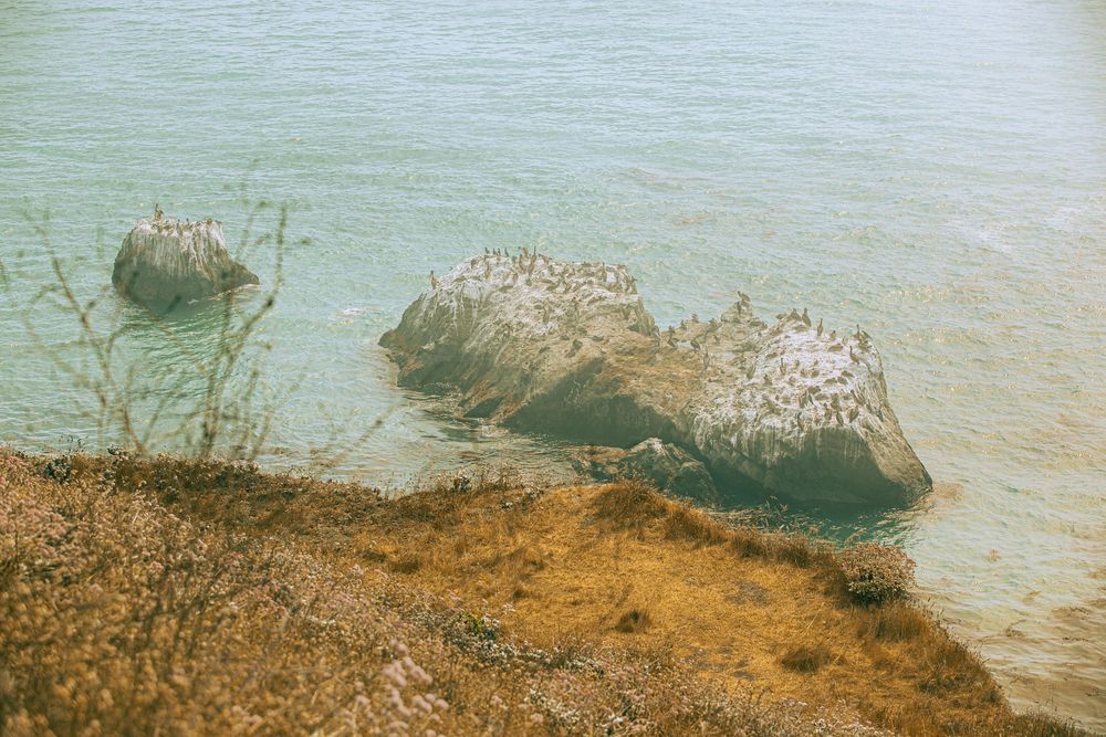 Rocky shoreline with two large stones emerging from turquoise water near an earthy coastal bank.
